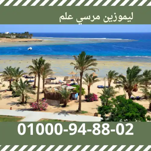 ليموزين مرسي علم