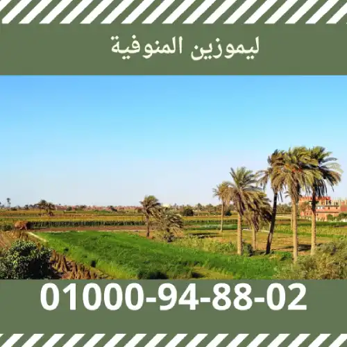 ليموزين المنوفية