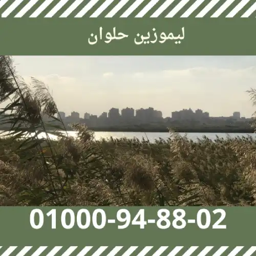 ليموزين حلوان