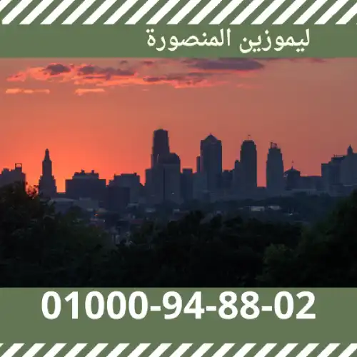 ليموزين المنصورة