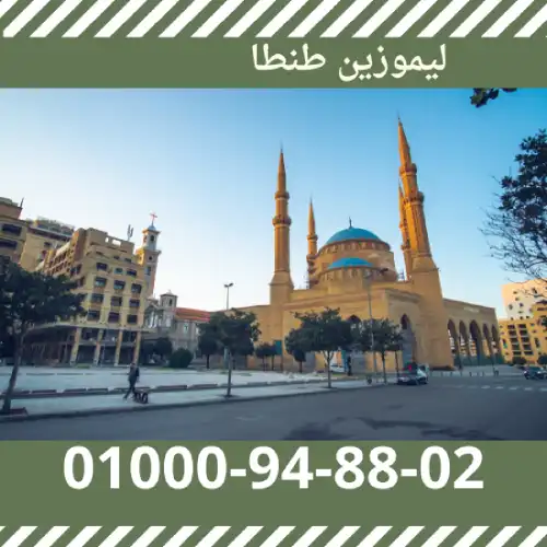 ليموزين طنطا