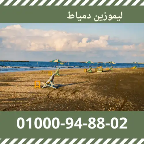 ليموزين دمياط