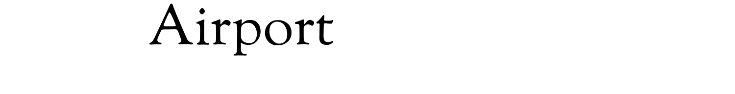 Falcon limousine for tourist transportation